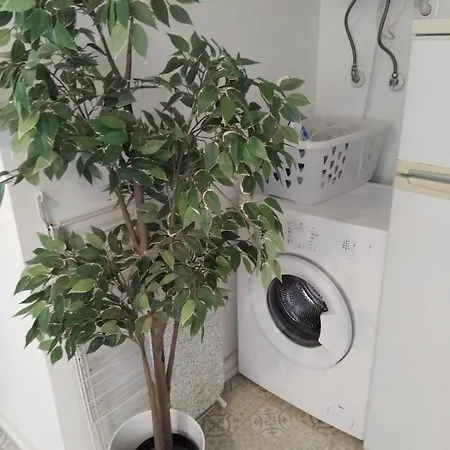 Pascoal - Lovely In The Heart Of Appartement